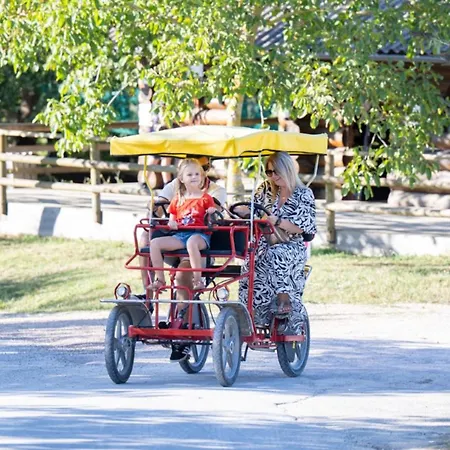 Camping Maison Avec Clim, Animaux Ok - 6 Pers. - Api-1-52-2553 Dienné